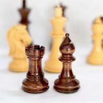 شطرنج فدراسیونی مدل sinquefield - تصویر 4