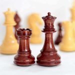 شطرنج فدراسیونی مدل sinquefield - تصویر 10