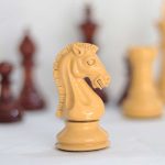 شطرنج فدراسیونی مدل sinquefield - تصویر 9