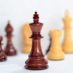 شطرنج فدراسیونی مدل sinquefield - تصویر 6
